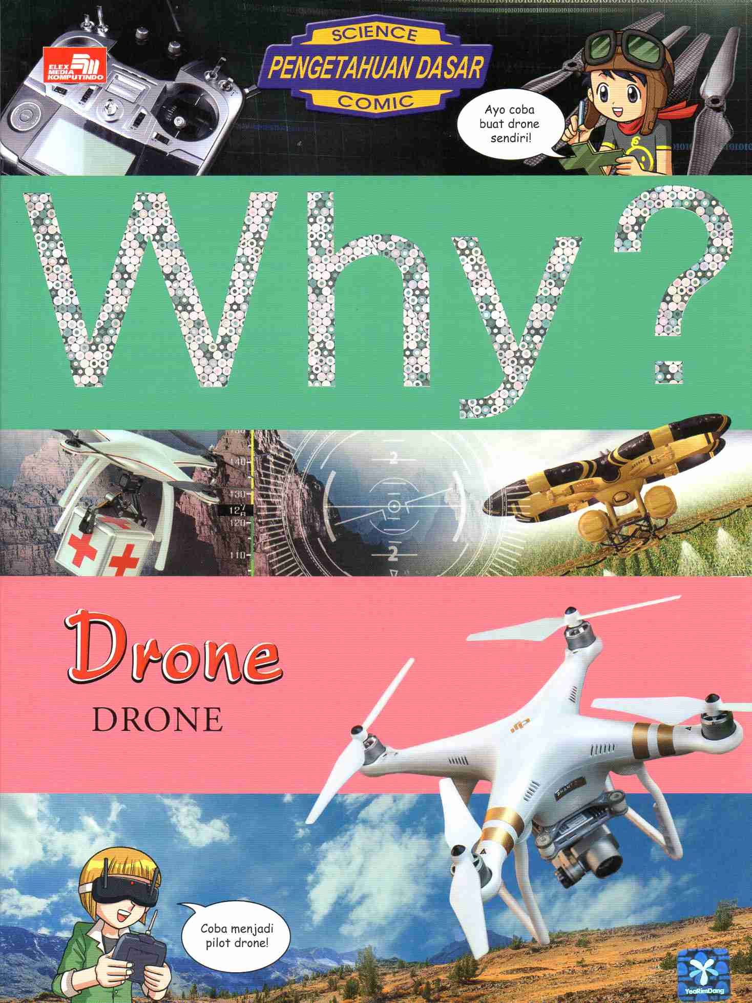 WHY? Drone